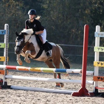 Hubertus 2019 - cz. II - konkurs skoków 70 cm (fot. Piotr Kawula)