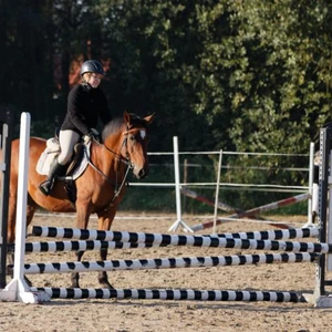 Hubertus 2019 - cz. II - konkurs skoków 70 cm (fot. Piotr Kawula)