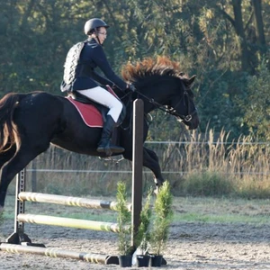 Hubertus 2019 - cz. II - konkurs skoków 70 cm (fot. Piotr Kawula)