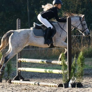 Hubertus 2019 - cz. II - konkurs skoków 70 cm (fot. Piotr Kawula)