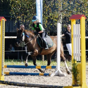 Hubertus 2019 - cz. IV - konkurs podskoków 20 cm (fot. Piotr Kawula)