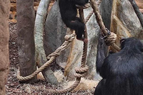 Zajęcia terenowe - ogrody zoologiczne w Wiedniu_6