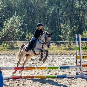 Hubertus 2018 - cz. II (Fot. Konrad Mika)