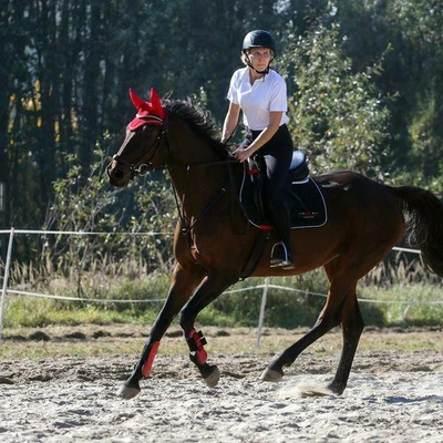 Hubertus 2018 - cz. IV (Fot. Patrycja Dawid)