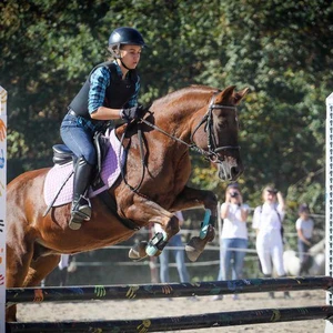 Hubertus 2018 - cz. IV (Fot. Patrycja Dawid)