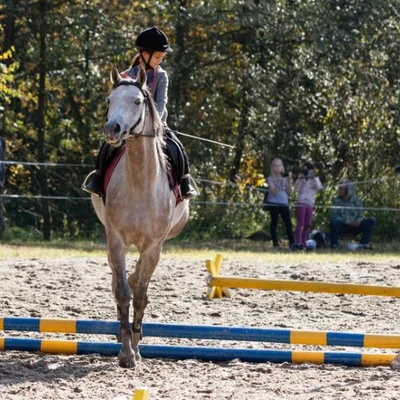 Hubertus 2019 - cz. IV - konkurs podskoków 20 cm (fot. Piotr Kawula)