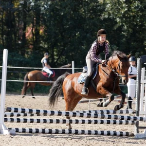 Hubertus 2019 - cz. III - konkurs skoków 50 cm (fot. Piotr Kawula)