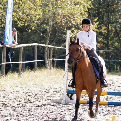 Hubertus 2019 - cz. IV - konkurs podskoków 20 cm (fot. Piotr Kawula)