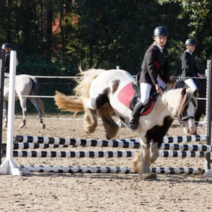 Hubertus 2019 - cz. III - konkurs skoków 50 cm (fot. Piotr Kawula)