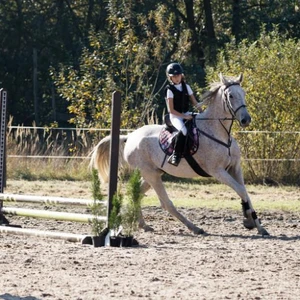 Hubertus 2019 - cz. III - konkurs skoków 50 cm (fot. Piotr Kawula)