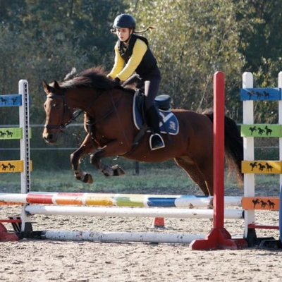 Hubertus 2019 - cz. III - konkurs skoków 50 cm (fot. Piotr Kawula)