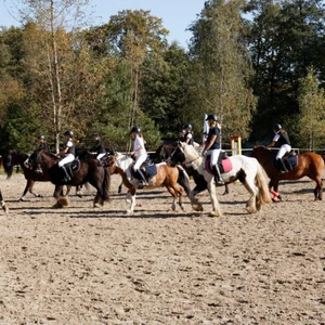 Hubertus 2019 - cz. VII - pogoń za lisem o puchar Dziekana (fot. Piotr Kawula)