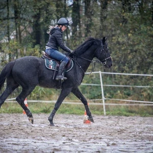 Hubertus 2017 - cz. 1 (Fot. Patrycja Dawid)