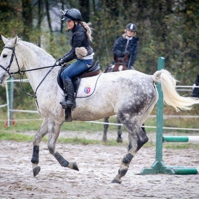 Hubertus 2017 - cz. 1 (Fot. Patrycja Dawid)