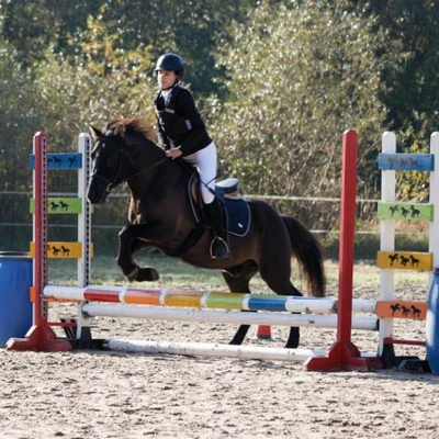 Hubertus 2019 - cz. III - konkurs skoków 50 cm (fot. Piotr Kawula)