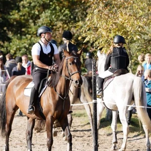 Hubertus 2019 - cz. III - konkurs skoków 50 cm (fot. Piotr Kawula)