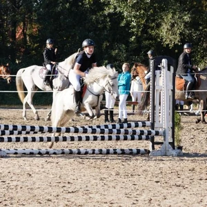 Hubertus 2019 - cz. III - konkurs skoków 50 cm (fot. Piotr Kawula)