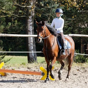 Hubertus 2019 - cz. IV - konkurs podskoków 20 cm (fot. Piotr Kawula)