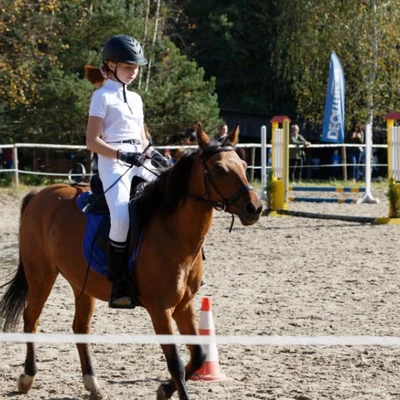 Hubertus 2019 - cz. IV - konkurs podskoków 20 cm (fot. Piotr Kawula)