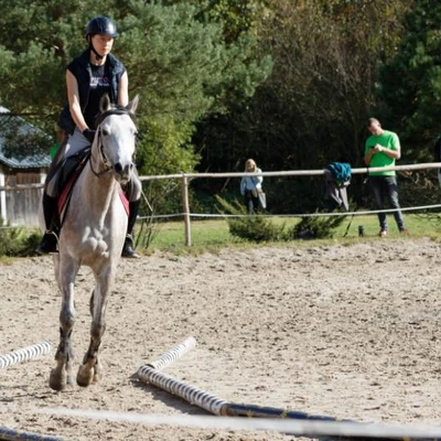 Hubertus 2019 - cz. IV - konkurs podskoków 20 cm (fot. Piotr Kawula)