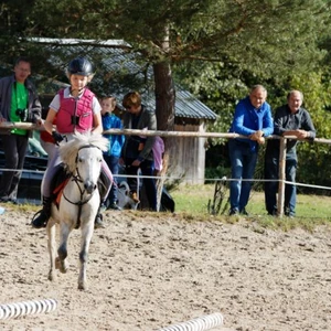 Hubertus 2019 - cz. IV - konkurs podskoków 20 cm (fot. Piotr Kawula)