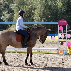 Hubertus 2019 - cz. III - konkurs skoków 50 cm (fot. Piotr Kawula)