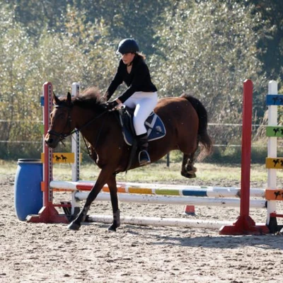 Hubertus 2019 - cz. III - konkurs skoków 50 cm (fot. Piotr Kawula)