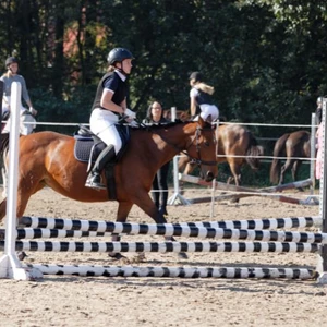 Hubertus 2019 - cz. III - konkurs skoków 50 cm (fot. Piotr Kawula)