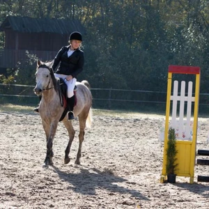 Hubertus 2019 - cz. III - konkurs skoków 50 cm (fot. Piotr Kawula)