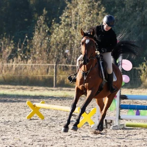 Hubertus 2019 - cz. II - konkurs skoków 70 cm (fot. Piotr Kawula)