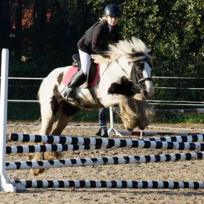 Hubertus 2019 - cz. II - konkurs skoków 70 cm (fot. Piotr Kawula)