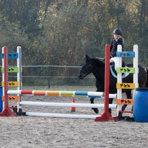 Hubertus 2019 - cz. II - konkurs skoków 70 cm (fot. Piotr Kawula)