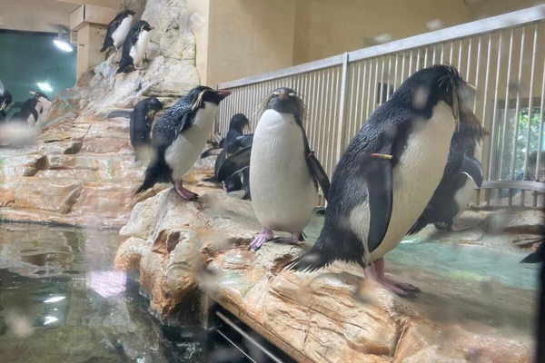 Zajęcia terenowe - ogrody zoologiczne w Wiedniu_6