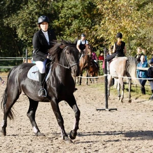 Hubertus 2019 - cz. III - konkurs skoków 50 cm (fot. Piotr Kawula)