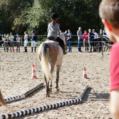 Hubertus 2019 - cz. IV - konkurs podskoków 20 cm (fot. Piotr Kawula)