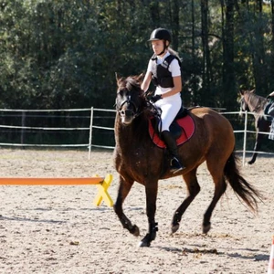 Hubertus 2019 - cz. III - konkurs skoków 50 cm (fot. Piotr Kawula)