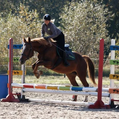 Hubertus 2019 - cz. III - konkurs skoków 50 cm (fot. Piotr Kawula)