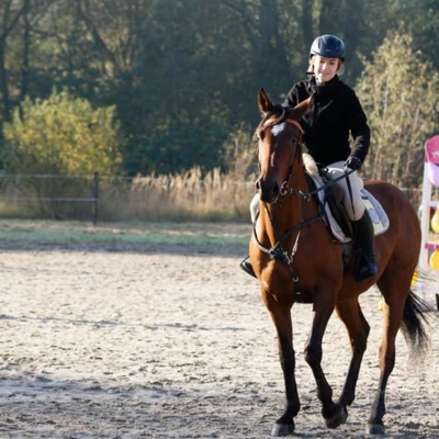 Hubertus 2019 - cz. II - konkurs skoków 70 cm (fot. Piotr Kawula)