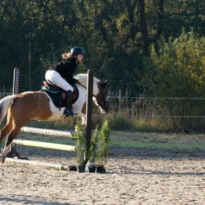 Hubertus 2019 - cz. II - konkurs skoków 70 cm (fot. Piotr Kawula)