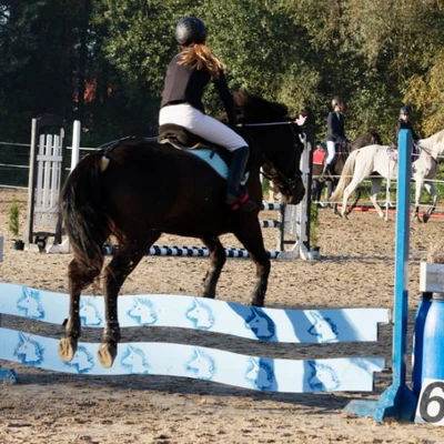 Hubertus 2019 - cz. II - konkurs skoków 70 cm (fot. Piotr Kawula)