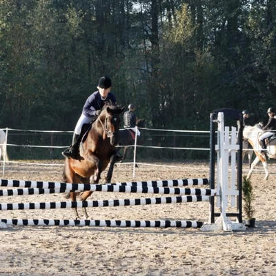 Hubertus 2019 - cz. II - konkurs skoków 70 cm (fot. Piotr Kawula)