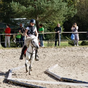 Hubertus 2019 - cz. IV - konkurs podskoków 20 cm (fot. Piotr Kawula)