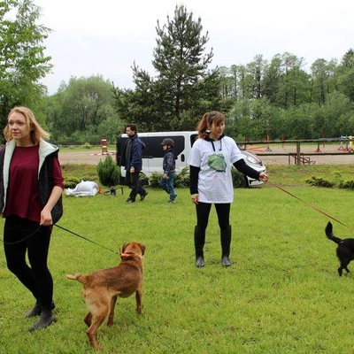 Inauguracja sezonu HIPPIKI w Ośrodku Jazdy Konnej