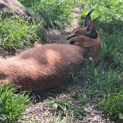 Zajęcia terenowe - ogrody zoologiczne w Wiedniu_9