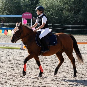 Hubertus 2019 - cz. III - konkurs skoków 50 cm (fot. Piotr Kawula)