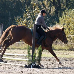 Hubertus 2019 - cz. III - konkurs skoków 50 cm (fot. Piotr Kawula)