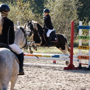 Hubertus 2019 - cz. III - konkurs skoków 50 cm (fot. Piotr Kawula)