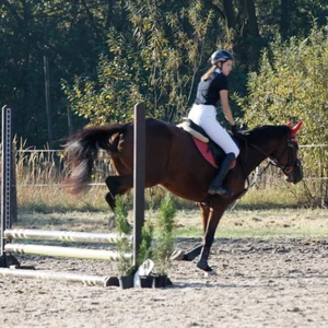 Hubertus 2019 - cz. III - konkurs skoków 50 cm (fot. Piotr Kawula)