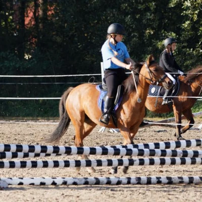 Hubertus 2019 - cz. III - konkurs skoków 50 cm (fot. Piotr Kawula)