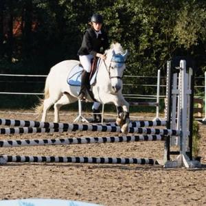 Hubertus 2019 - cz. II - konkurs skoków 70 cm (fot. Piotr Kawula)